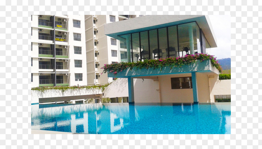 Rumah Kampung Swimming Pool Condominium Property Resort Hotel PNG
