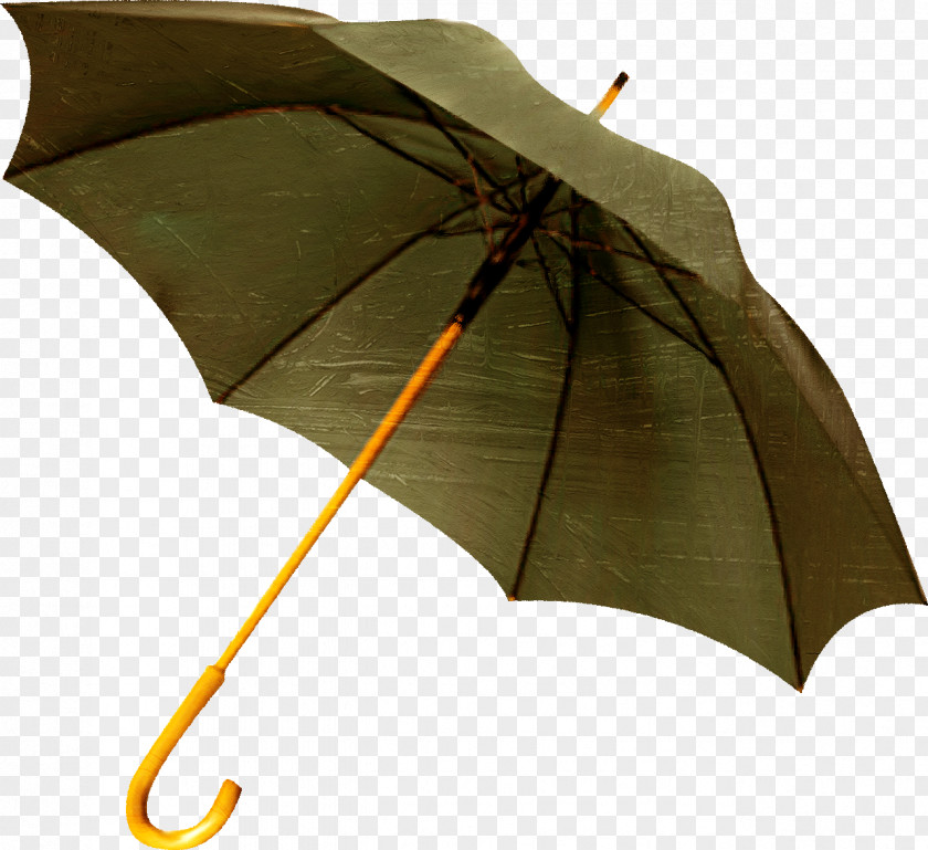 Umbrella The Umbrellas Rain Auringonvarjo PNG