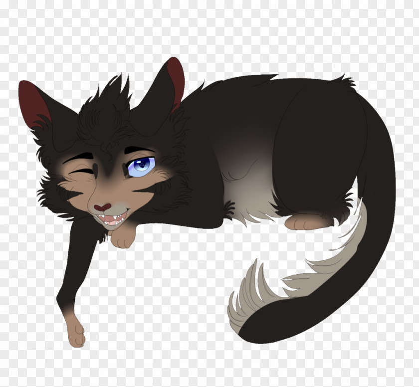 Cat Whiskers Dog Canidae Fur PNG