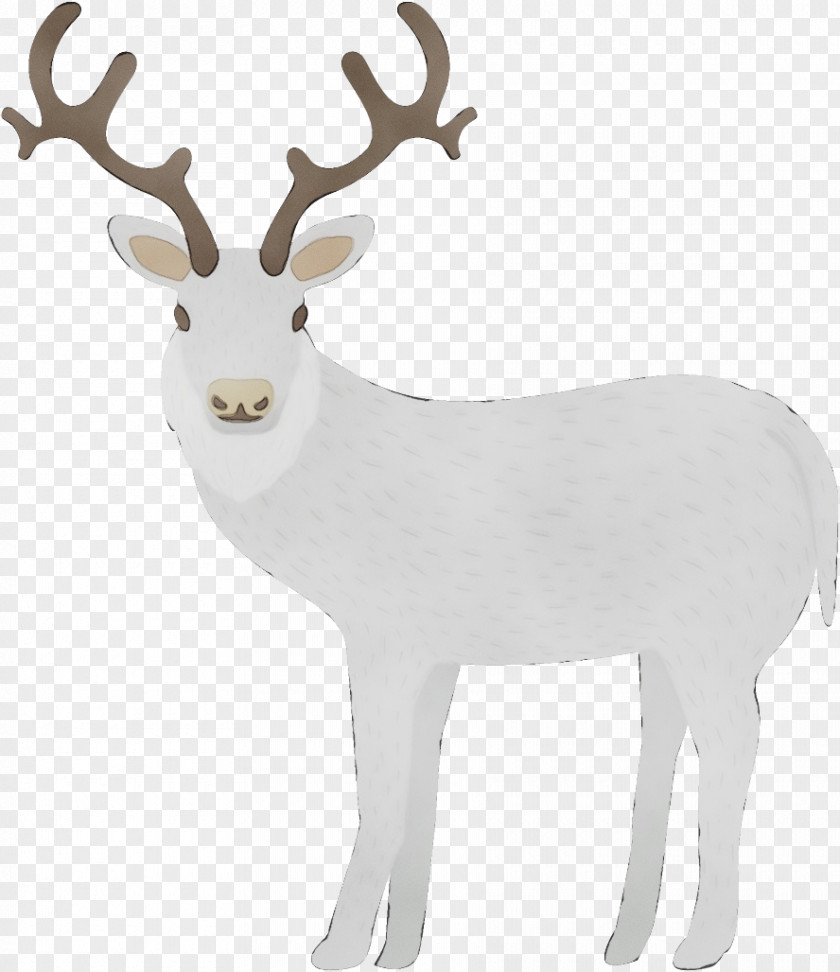 Fawn Sticker Reindeer PNG