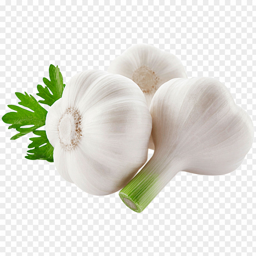 Garlic Bread Vegetable Onion Food PNG