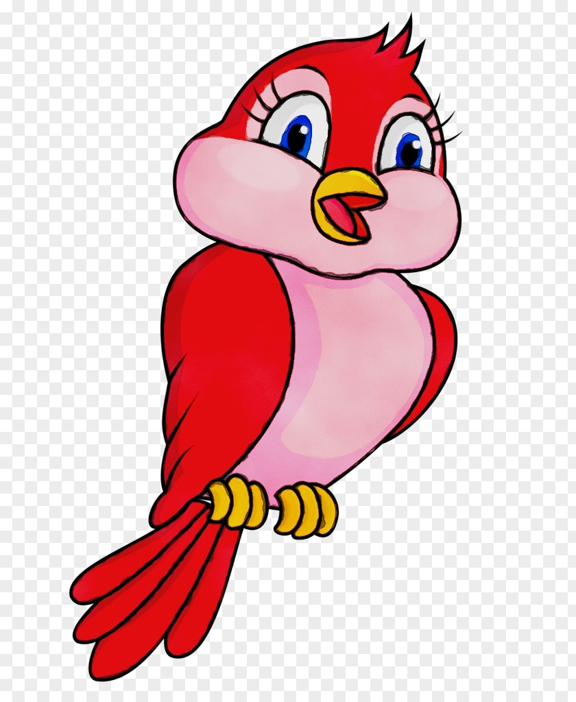 Macaw Parrot Bird PNG