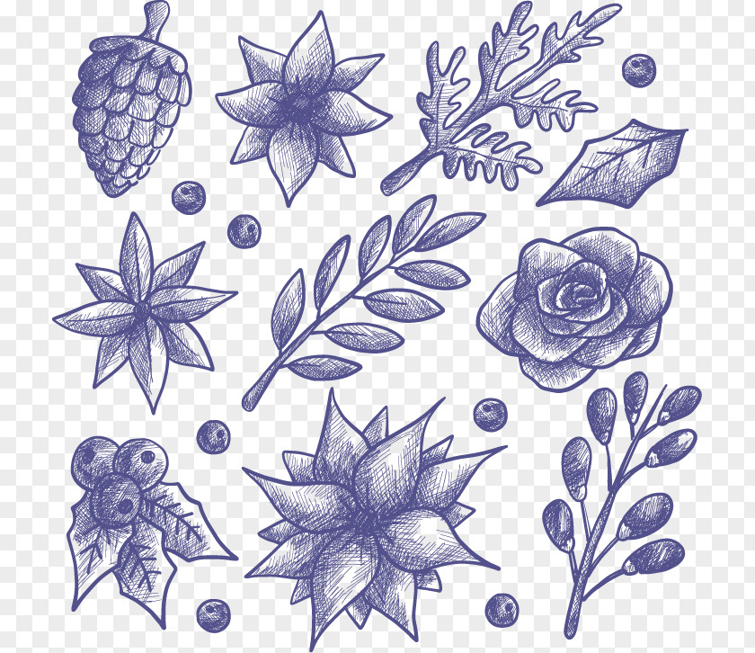 Winter Flowers And Hand-painted Sketch Euclidean Vector Drawing Flower Mistletoe PNG