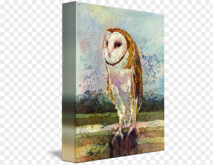 Barn Owl Watercolor Painting Watermedia Bird PNG
