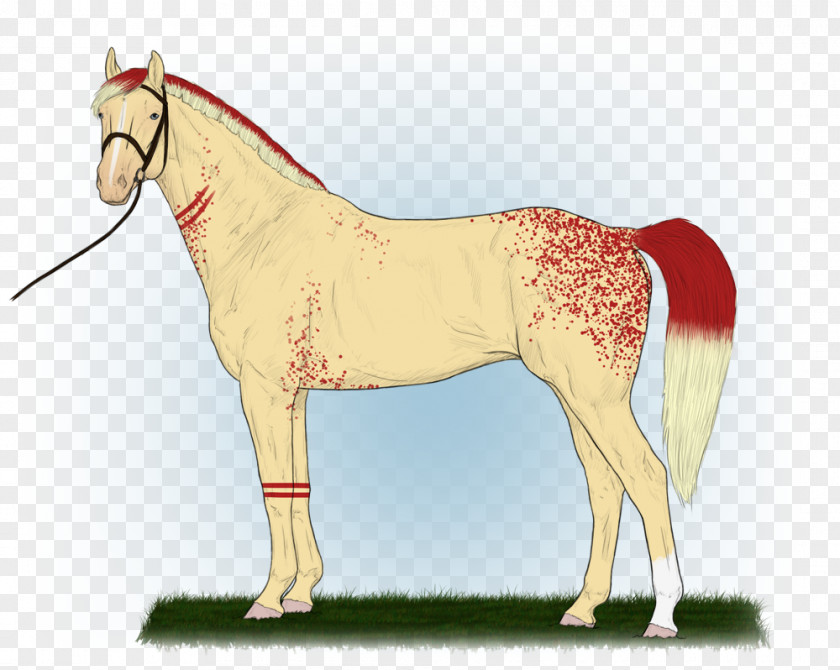 Bloodstained Bandage Mustang Stallion Foal Pony Mare PNG