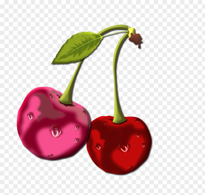 Cherry Red Green White PNG