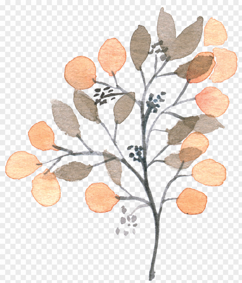 Hand-painted Plants Loquat Painting PNG