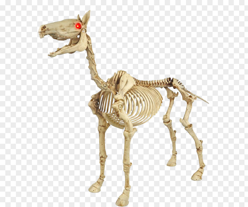 Horse Light Halloween Skeleton Pony PNG