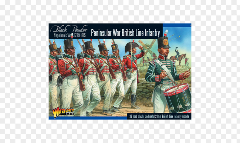 Line Napoleonic Wars Peninsular War Era Infantry PNG