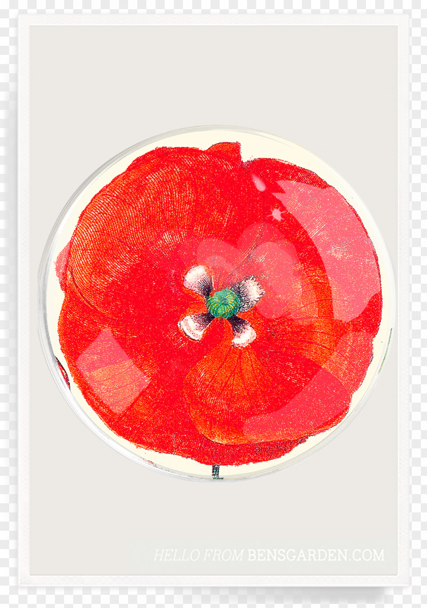 Poppy Ben's Garden Paper Decoupage Tray Pillow PNG