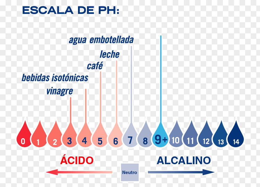 Water PH Alkalinity Acid Cultivo PNG