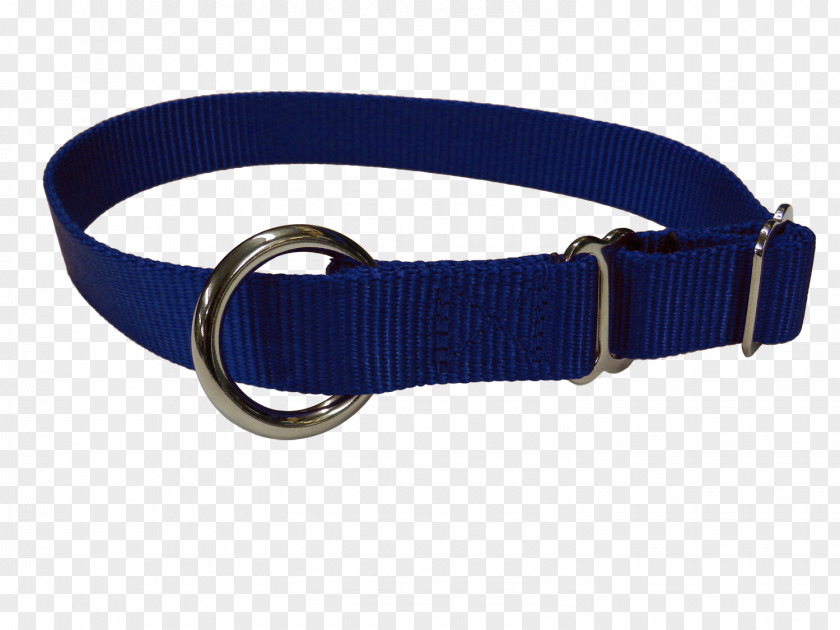 Dog Collar Leash Halter PNG