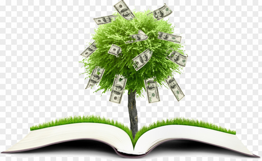 Open Book Financial Literacy Personal Finance Plan Education PNG