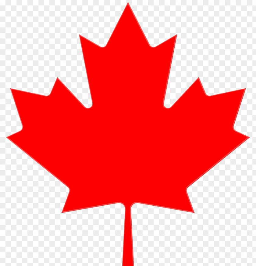 Plane Symbol Canada Maple Leaf PNG