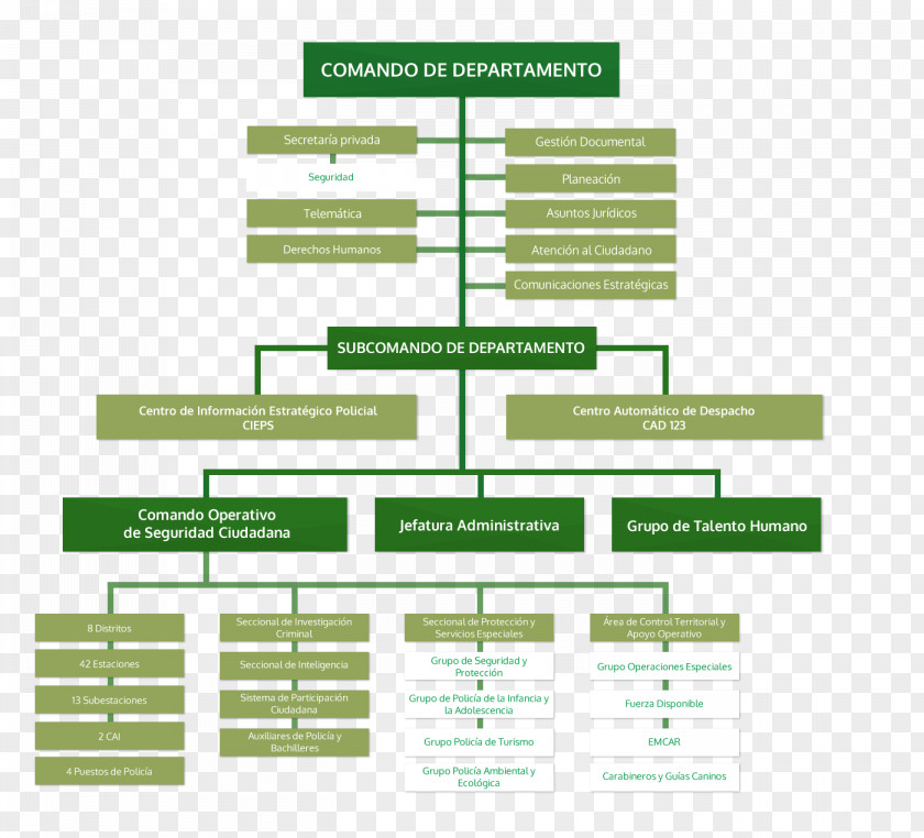 Police Departments Of Colombia Organizational Chart Tolima Department Magdalena PNG