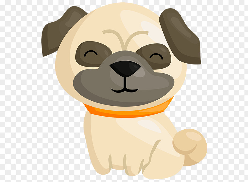 Puppy Pug Dorset Olde Tyme Bulldogge Havanese Dog Shih Tzu PNG