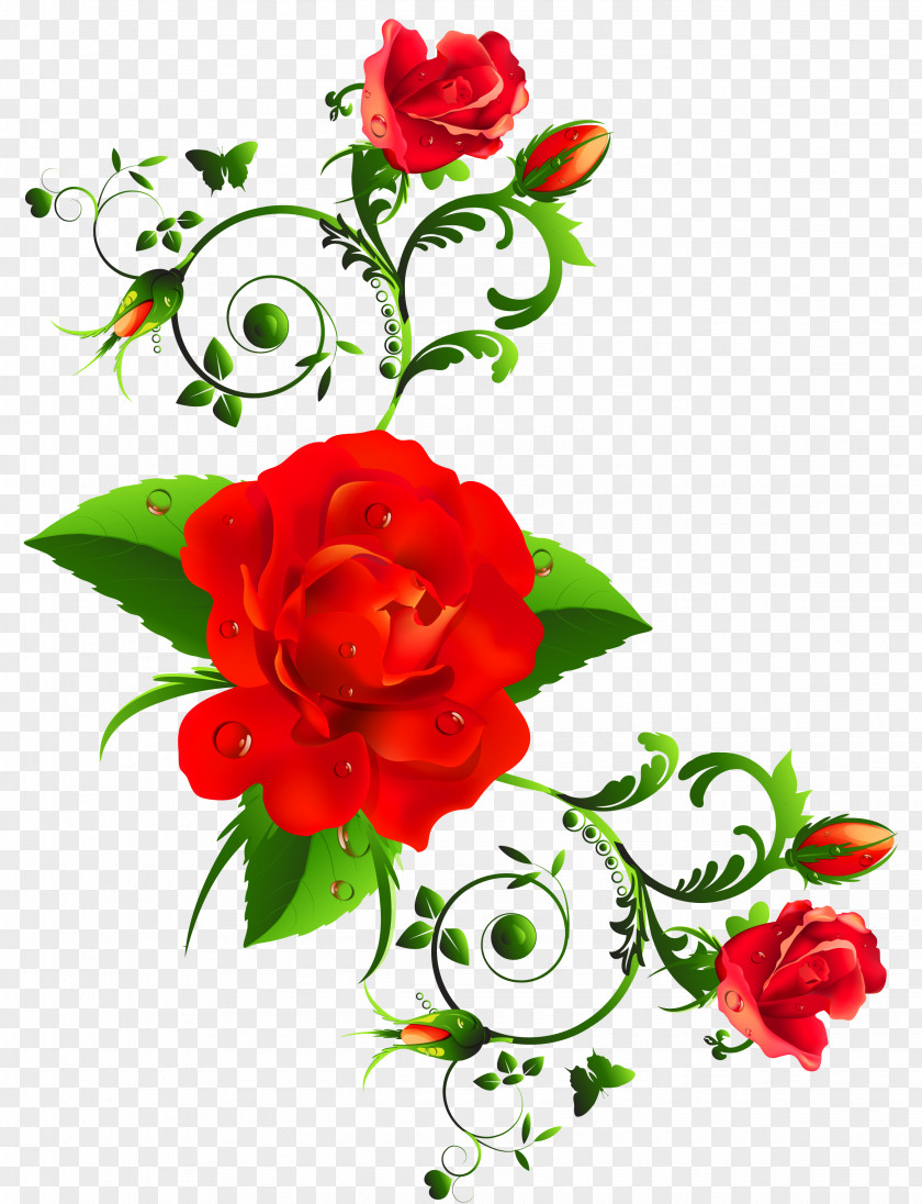 Red Roses Decor Clipart International Women's Day Wish Happiness Greeting Card PNG