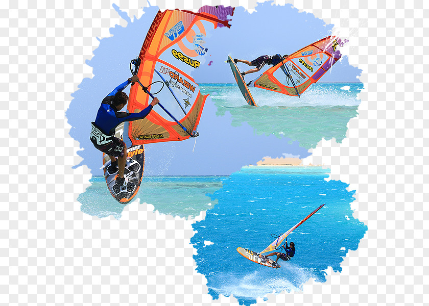 Sail Windsurfing Surfboard Boating PNG