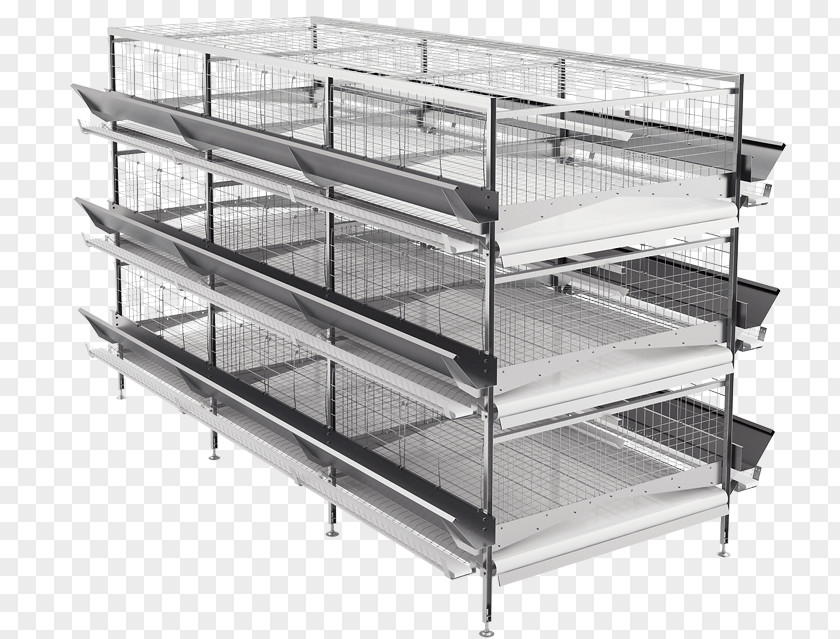 Chicken Cages Industry Poultry Farming Tekhna Photography PNG