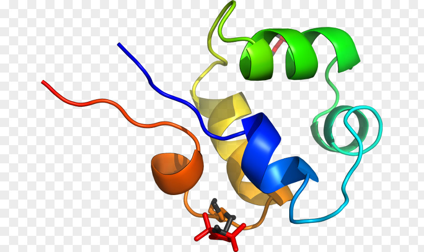 Lysozyme Clip Art Product Organism Line Special Olympics Area M PNG