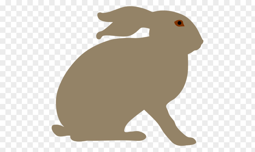 Vector Rabbit Arctic Hare Snowshoe Clip Art PNG