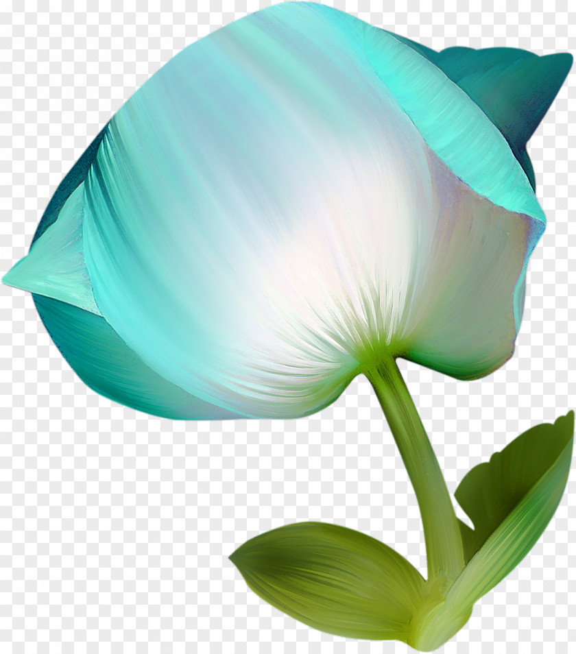 Blue Flowers Flower Vecteur PNG