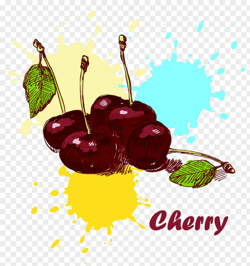 Cherry Illustration PNG