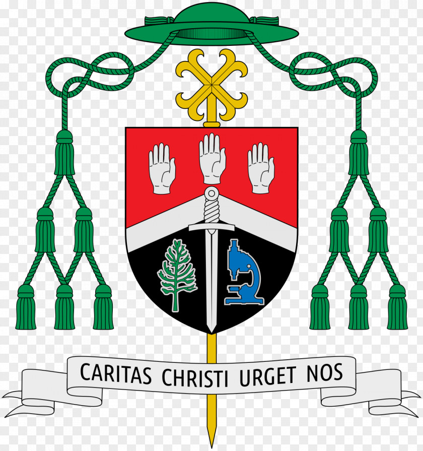 Crest Crossed Axes Roman Catholic Archdiocese Of Agaña Bishop Catholicism Pope PNG
