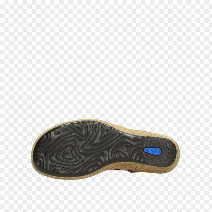 Design Cross-training Shoe Walking PNG