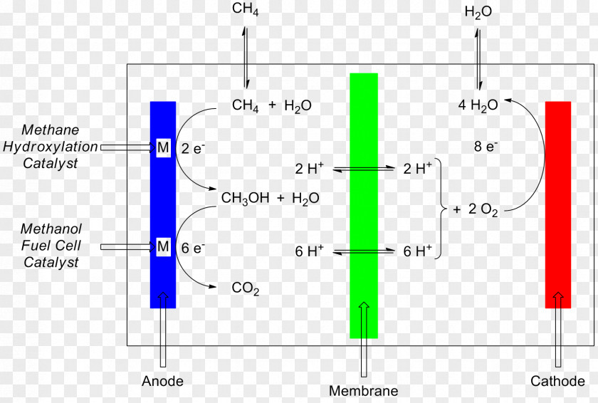 Fuel Cells Microbial Cell Proton-exchange Membrane Alkaline PNG