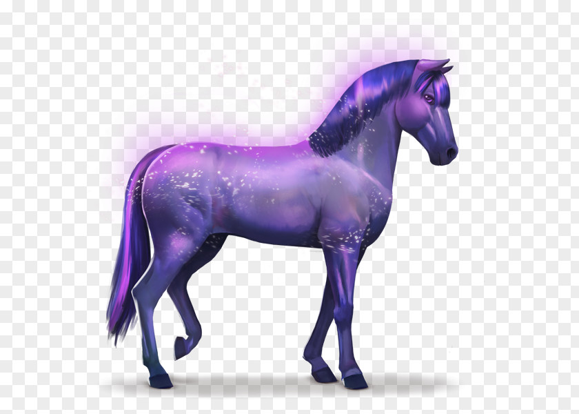 Horse Howrse Rainbow Indigo Aretus PNG