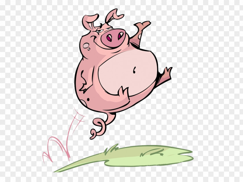 Jumping On The Pig Domestic Dash Chinese Zodiac PNG