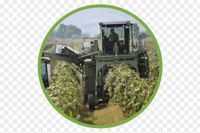 Tree Agriculture Vehicle PNG