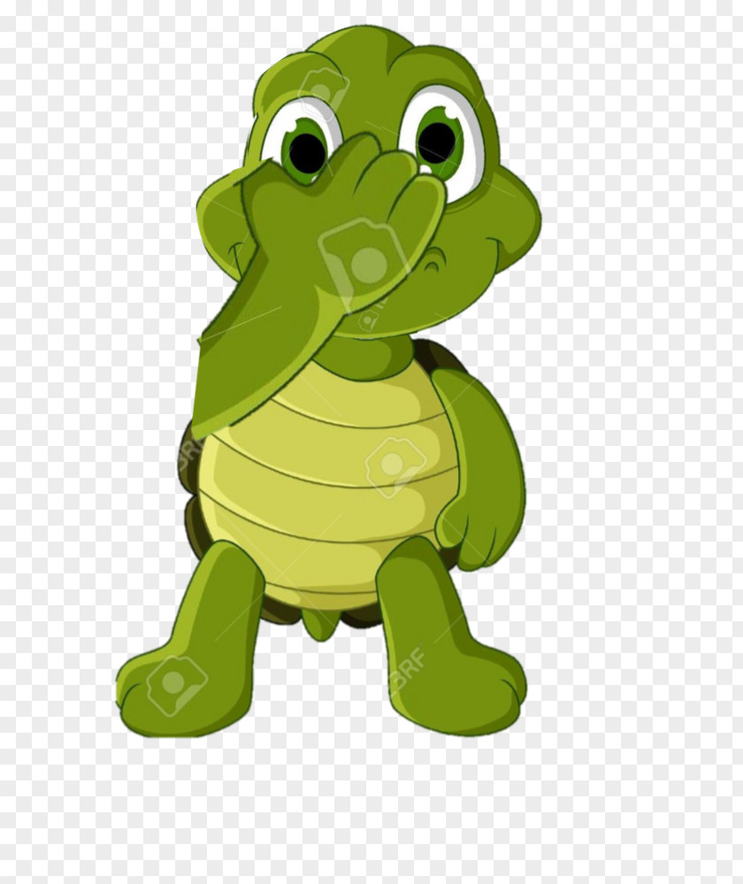 Turtle Clip Art Vector Graphics Cartoon Image PNG