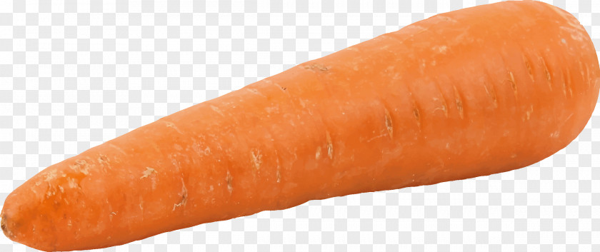 Carrot Vegetable Parsnip Clip Art PNG