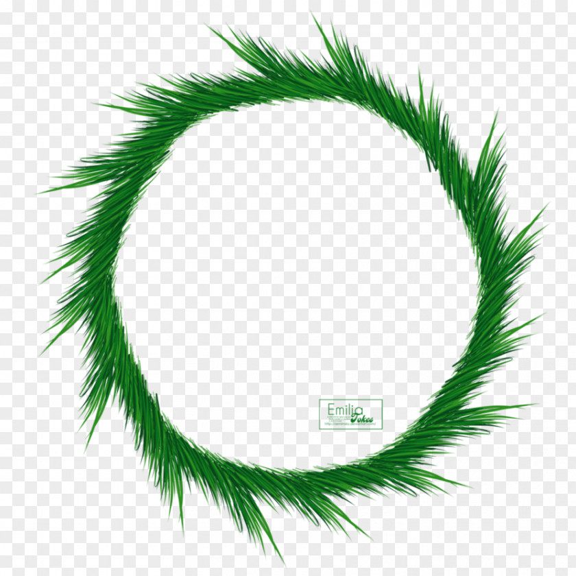 Circle Frame Green Leaf PNG