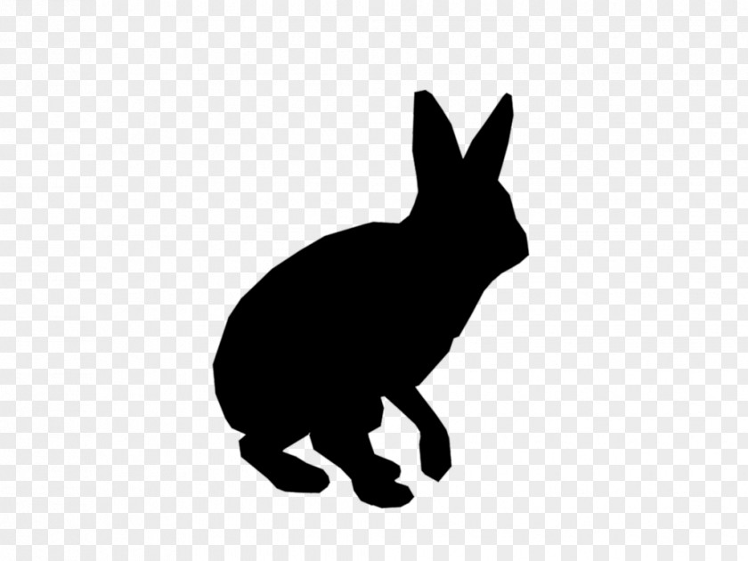 Domestic Rabbit Hare Dog Whiskers Mammal PNG