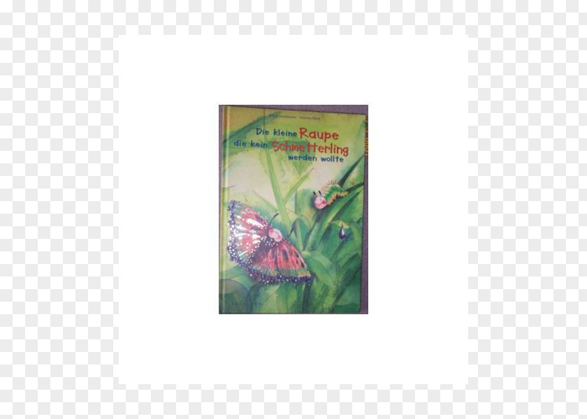 Heinrich Hoffmann Fauna Zoo Text Organism Butterflies And Moths PNG