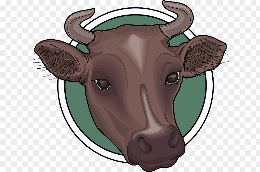 Horn Livestock Bovine Cartoon Bull Snout Working Animal PNG