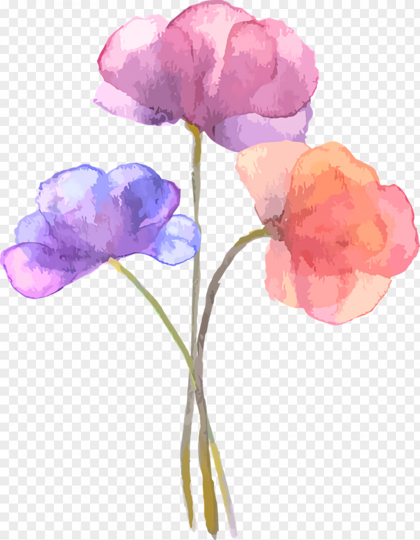 Lavender PNG