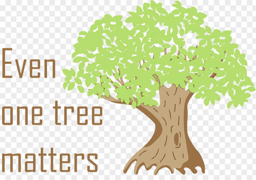 Leaf Plant Stem Tree Meter Font PNG