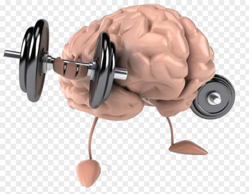 Movement Of The Brain 13 Things Mentally Strong People Avoid And How You Can Become Your Strongest Best Self Mental Health Physical Exercise Fitness Mind PNG