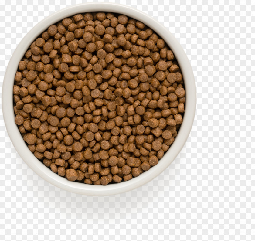 Puppy Cat Dog Food Sheep PNG