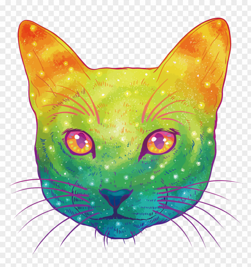 Vector Colorful Cat Kitten Felidae Drawing Illustration PNG