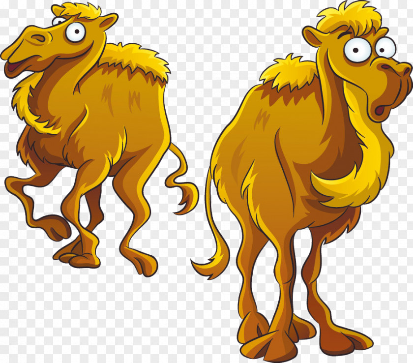 Cartoon Camel Stock Photography Royalty-free PNG
