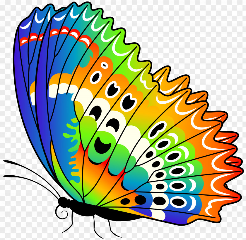 Colorful Butterfly Clip Art Image Monarch PNG