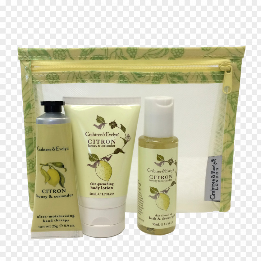 Coriander Lotion Cream Skin Care Health PNG