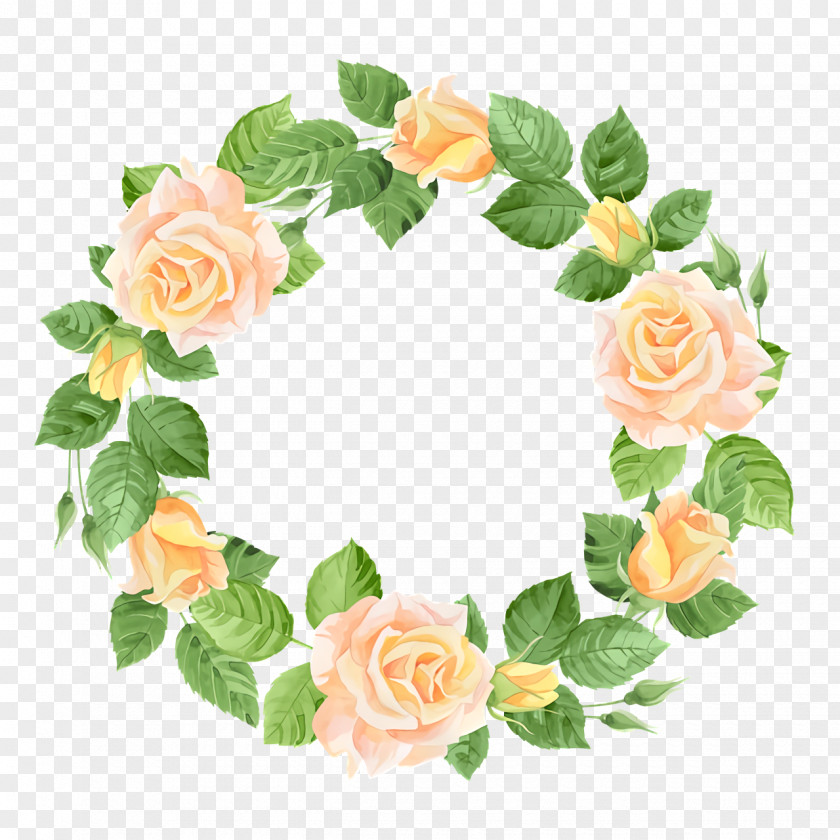 Floral Design PNG