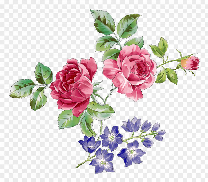 Flower Border Flowers Painting PNG
