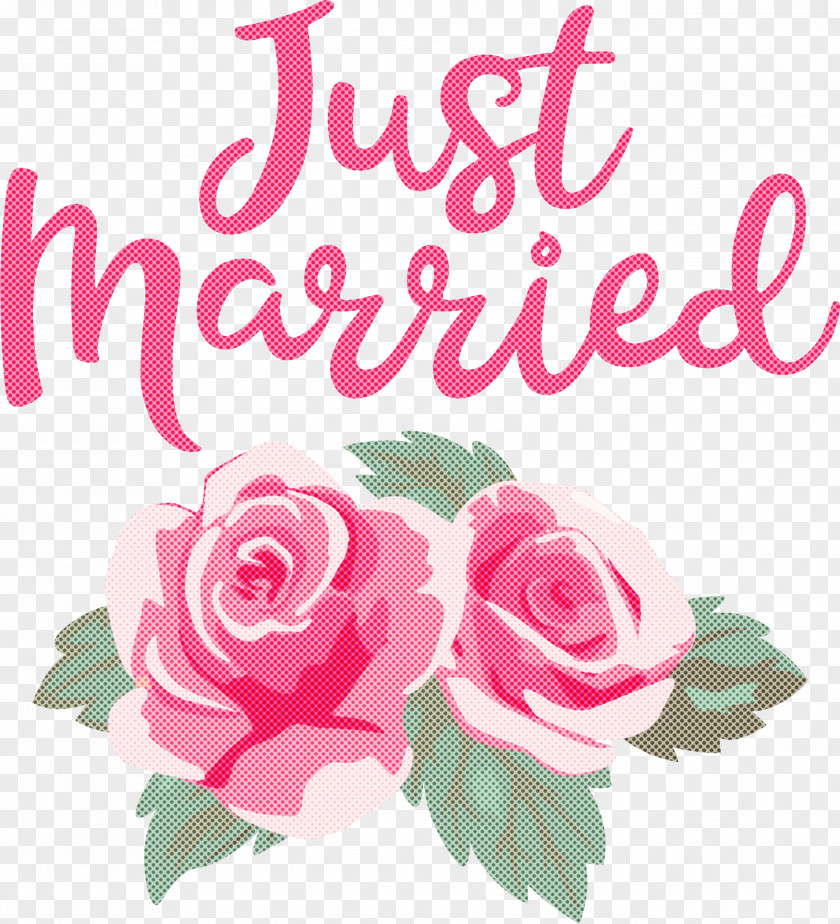 Just Married Wedding PNG